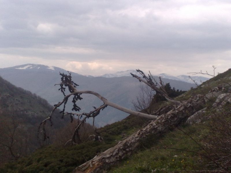 KopyasÃƒÂƒÃ‚Â„ÃƒÂ‚Ã‚Â± 250420101258.jpg