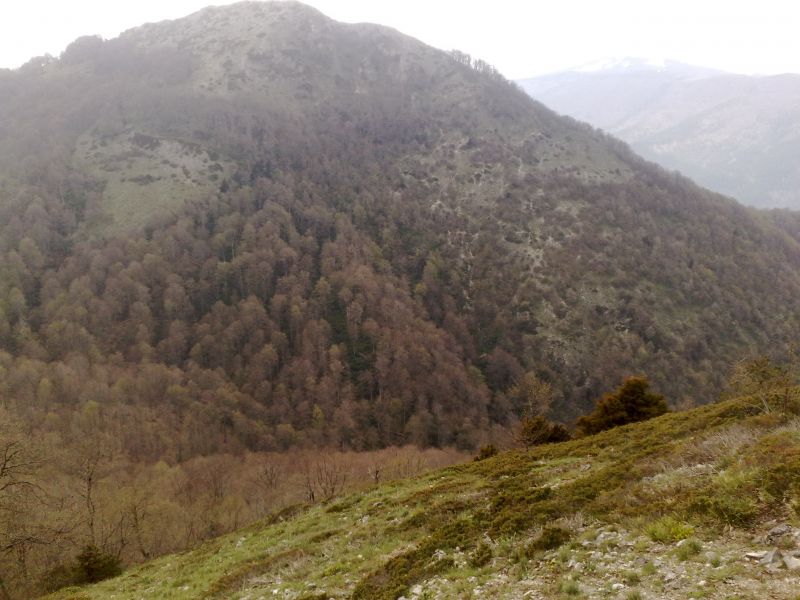 KopyasÃƒÂƒÃ‚Â„ÃƒÂ‚Ã‚Â± 250420101259.jpg