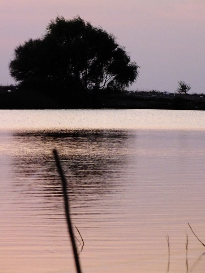 KopyasÃƒÂƒÃ‚Â„ÃƒÂ‚Ã‚Â± DSCF0929.jpg