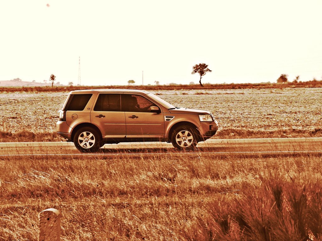 KopyasÃƒÂƒÃ‚Â„ÃƒÂ‚Ã‚Â± DSCF2142.jpg