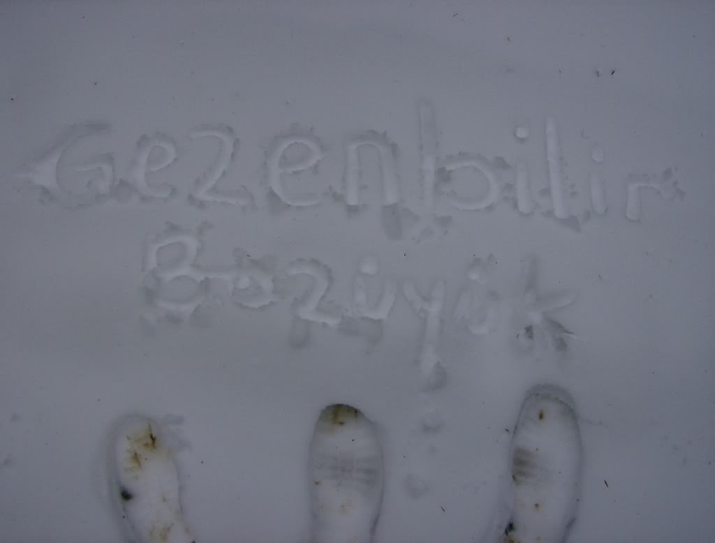 KOZPINAR235.jpg