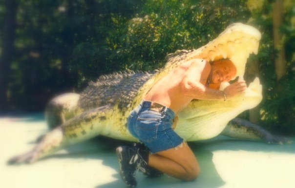 kroko.jpg