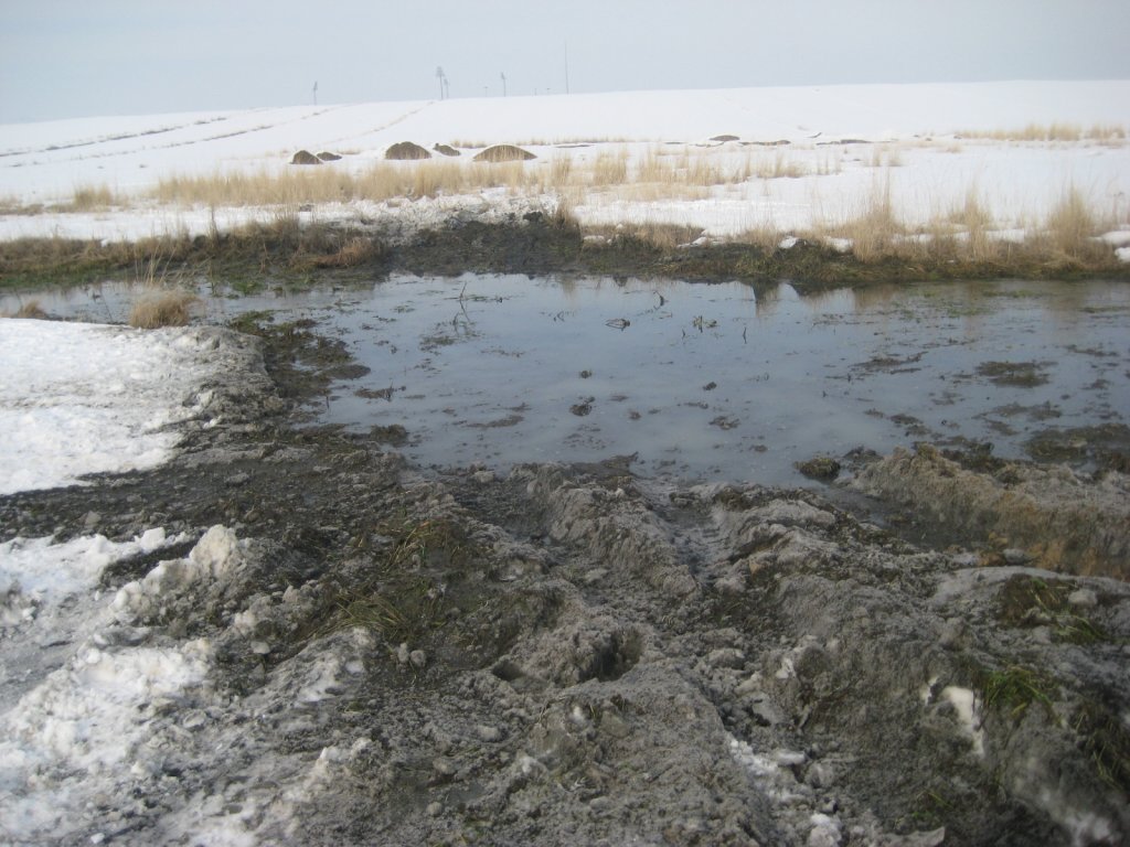 kuÃƒÂƒÃ‚Â…ÃƒÂ‚Ã‚ÂŸadasi 126.jpg