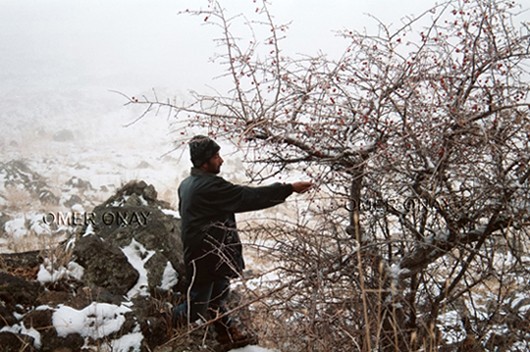 kucuk_agri_02.jpg