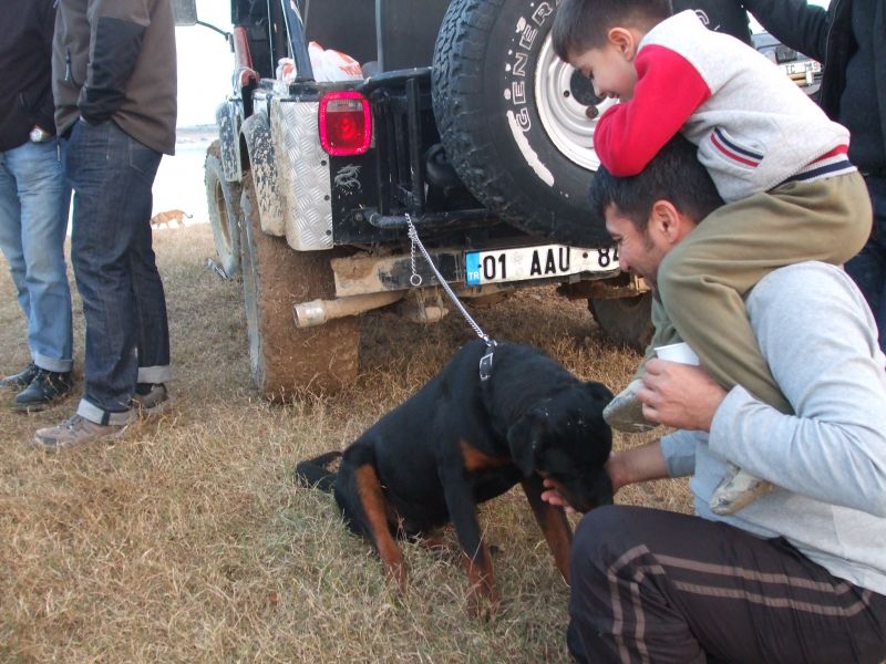 kum ocagÃƒÂƒÃ‚Â„ÃƒÂ‚Ã‚Â± 227.jpg