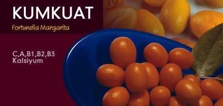 kumkuat.jpg
