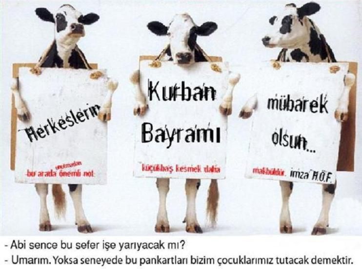 kurbanlÃƒÂƒÃ‚Â„ÃƒÂ‚Ã‚Â±klar.jpg