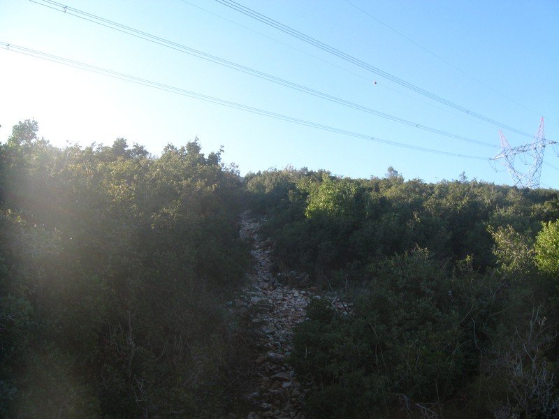 Kurutepe 11.01.09 037.jpg