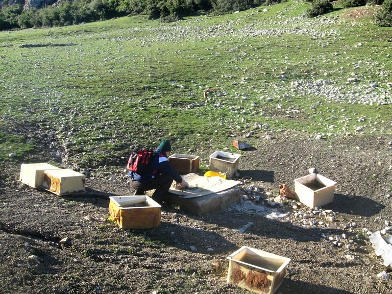 Kurutepe 11.01.09 040.jpg