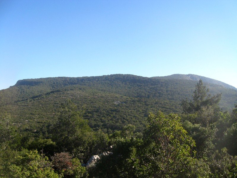 Kurutepe 11.01.09 049.jpg