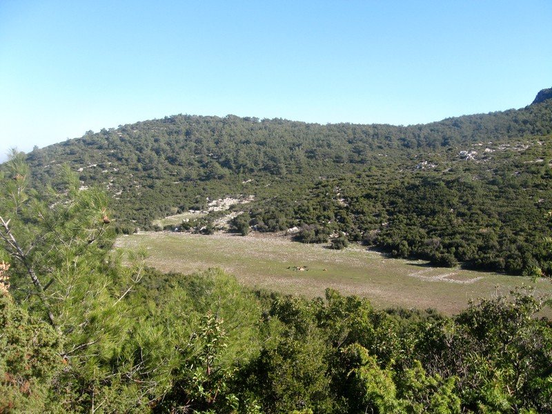 Kurutepe 11.01.09 050.jpg