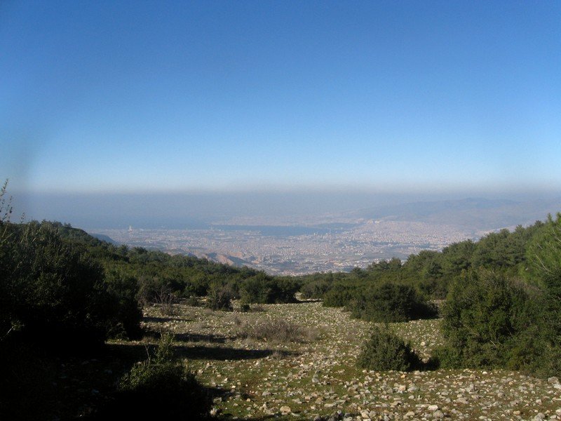 Kurutepe 11.01.09 053.jpg