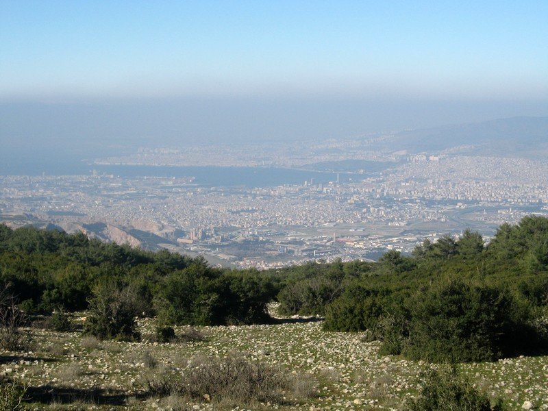 Kurutepe 11.01.09 054.jpg