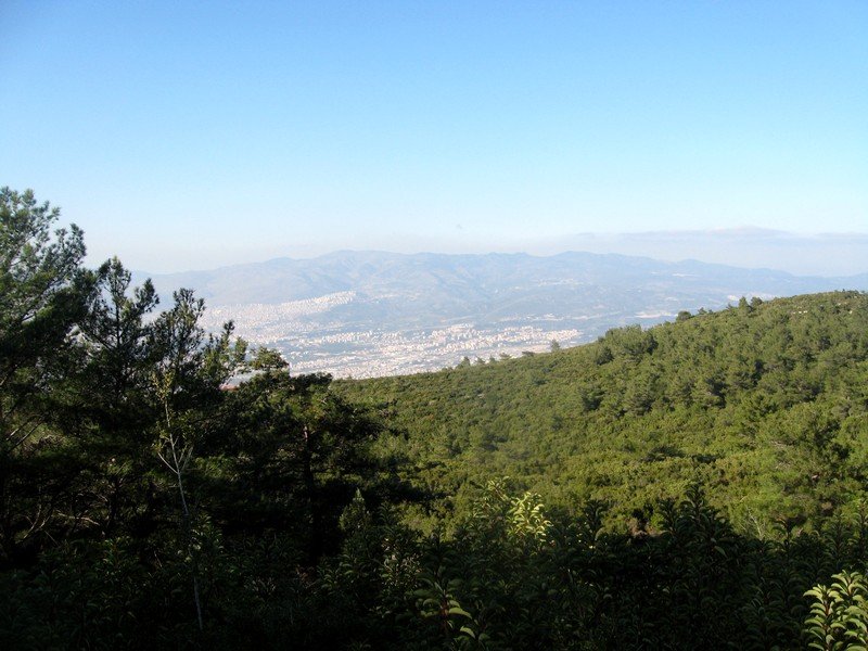 Kurutepe 11.01.09 066.jpg