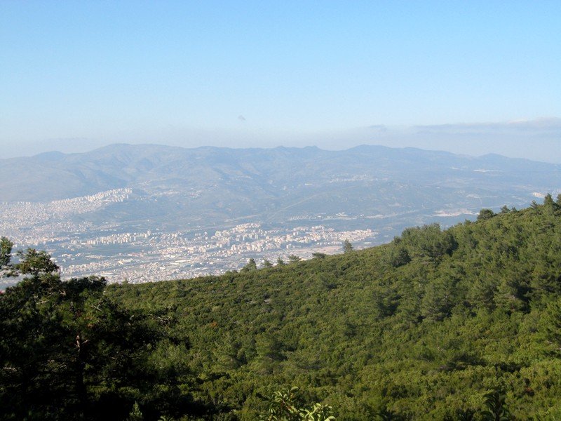 Kurutepe 11.01.09 067.jpg