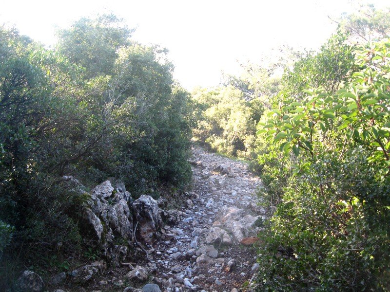 Kurutepe 11.01.09 068.jpg