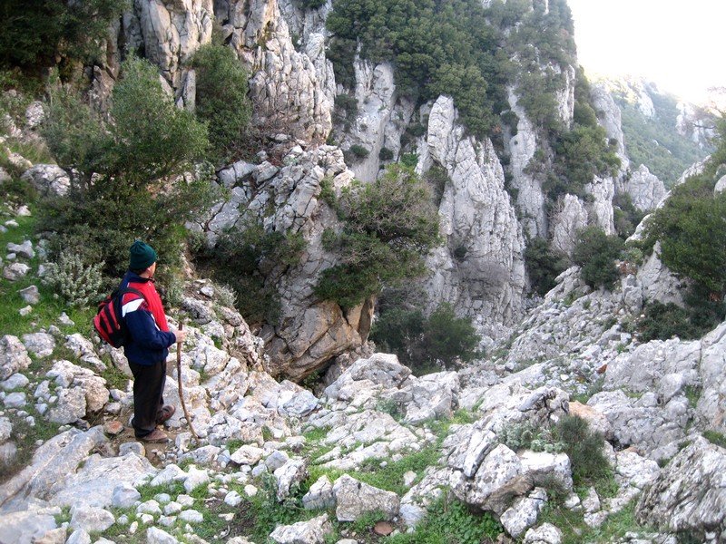 Kurutepe 11.01.09 071.jpg