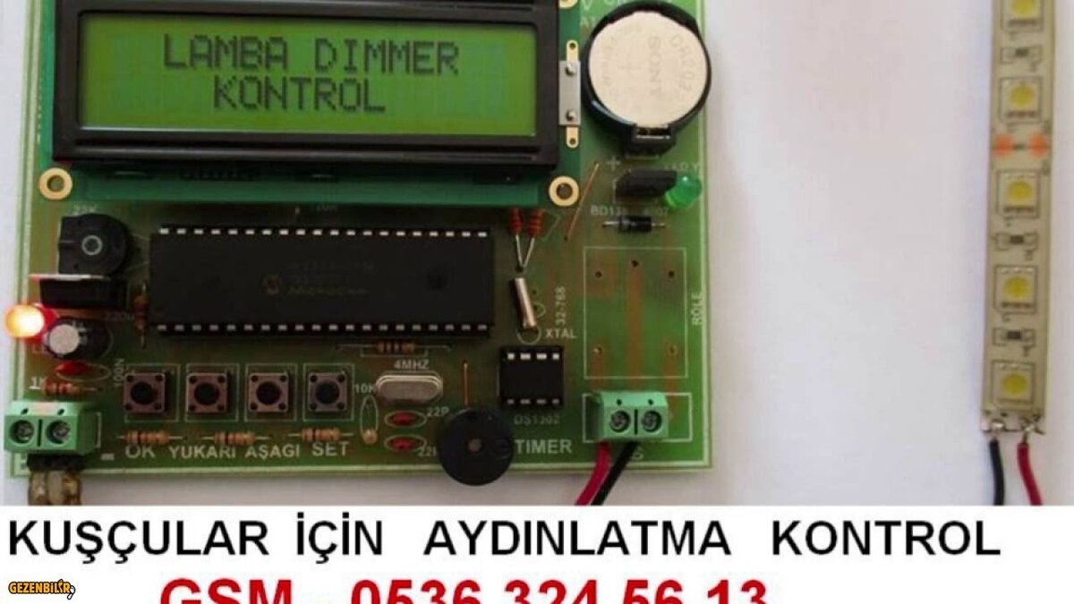 kuş dimmer devre.jpg