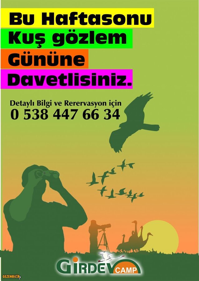 kus gözlem.jpg
