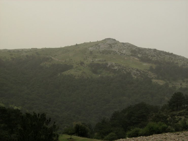 Kuzgunoluk.jpg