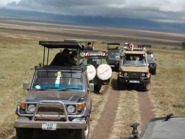 Land cruiser roof popups