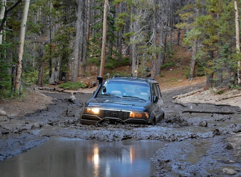 Land Cruiser VX80(243).jpg