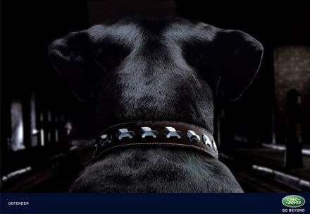 land-rover-defender-collar.jpg