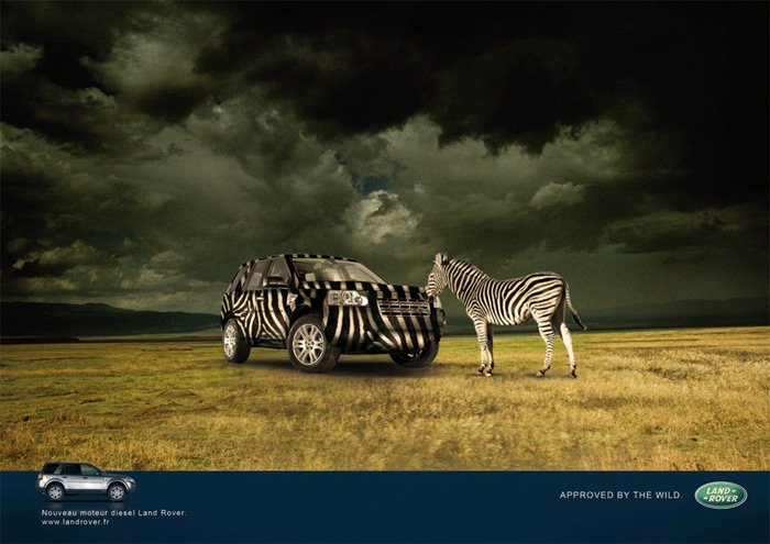 LANDROVER_1.jpg