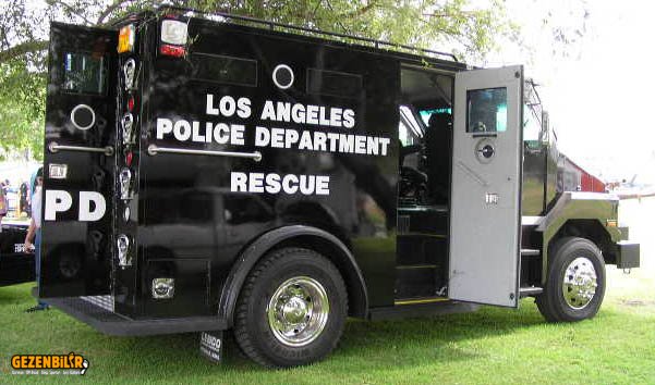 lapd_bear_5.jpg