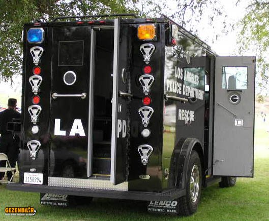 lapd_bear_7.jpg