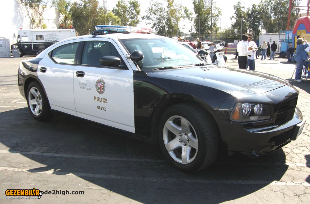 lapd_p11_dc.jpg