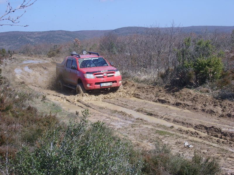 lazkopat71ln7.jpg