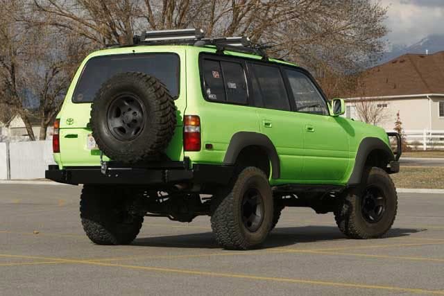 LimeGreen.jpg