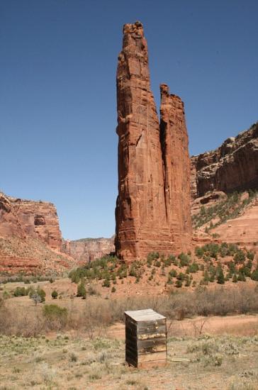 LiveImages_Foto Haber_Sifonlar_cantondechellyarizona.jpg