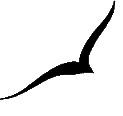 logo2.gif