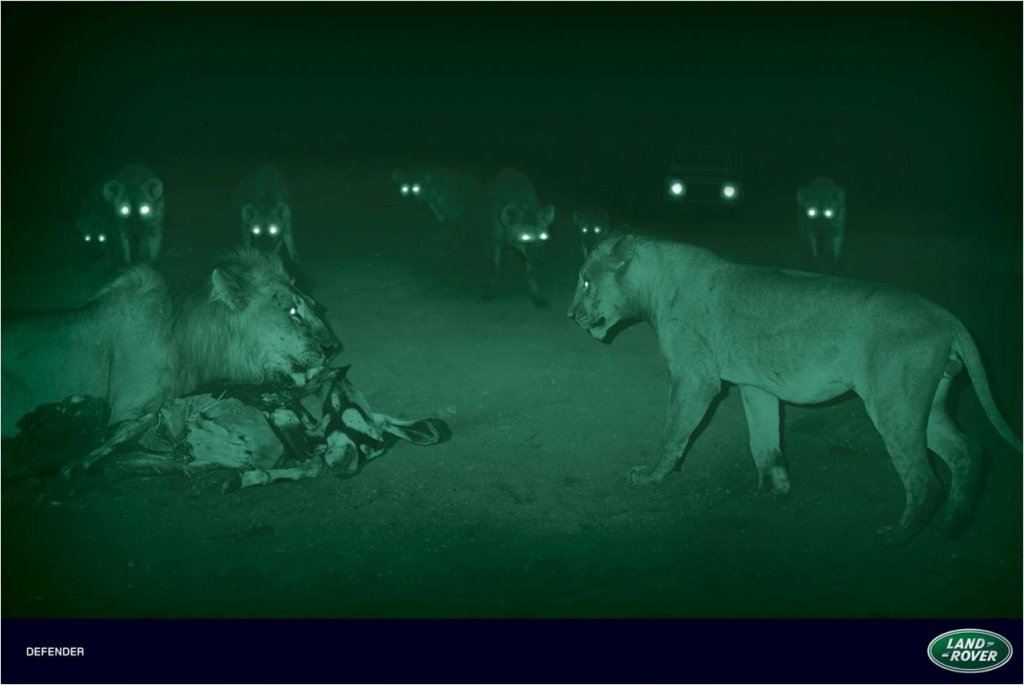 LRLR3.jpg
