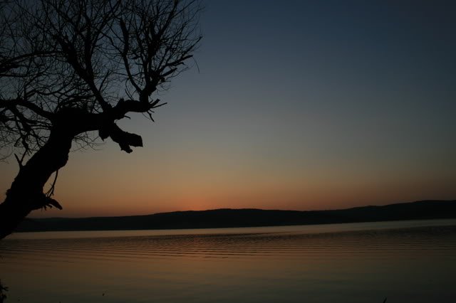 m2.jpg