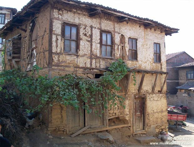 mÃƒÂƒÃ‚ÂƒÃƒÂ‚Ã‚Â¼ÃƒÂƒÃ‚Â…ÃƒÂ‚Ã‚ÂŸkÃƒÂƒÃ‚ÂƒÃƒÂ‚Ã‚Â¼le3.jpg