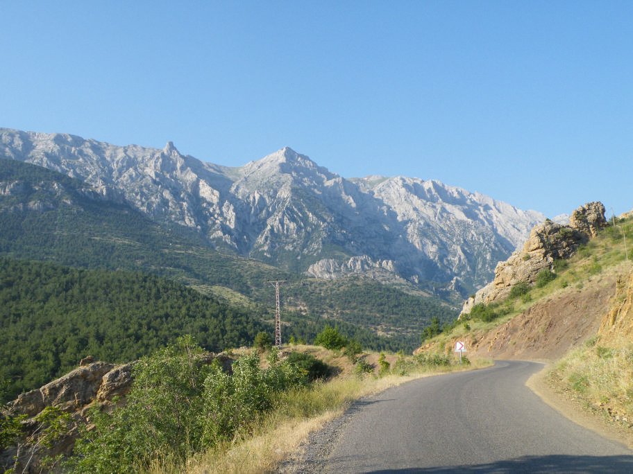 mahmut usta albÃƒÂƒÃ‚ÂƒÃƒÂ‚Ã‚Â¼m karagÃƒÂƒÃ‚ÂƒÃƒÂ‚Ã‚Â¶l02- 03-07-2011 010.jpg