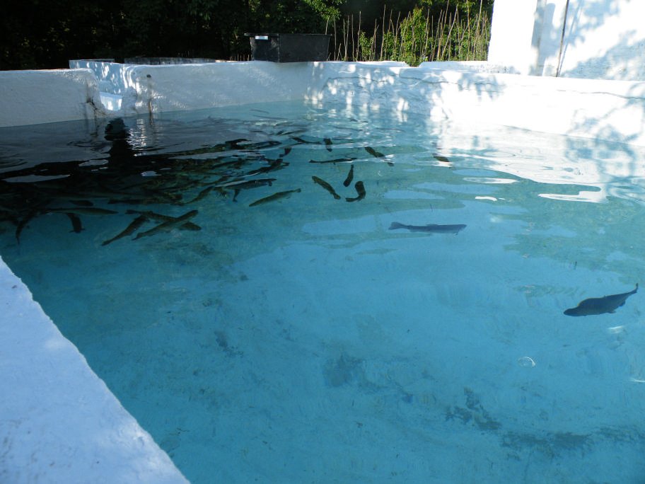 mahmut usta albÃƒÂƒÃ‚ÂƒÃƒÂ‚Ã‚Â¼m karagÃƒÂƒÃ‚ÂƒÃƒÂ‚Ã‚Â¶l02- 03-07-2011 014.jpg