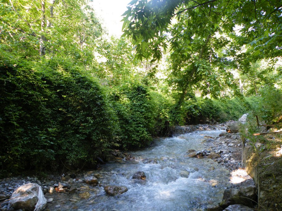 mahmut usta albÃƒÂƒÃ‚ÂƒÃƒÂ‚Ã‚Â¼m karagÃƒÂƒÃ‚ÂƒÃƒÂ‚Ã‚Â¶l02- 03-07-2011 016.jpg