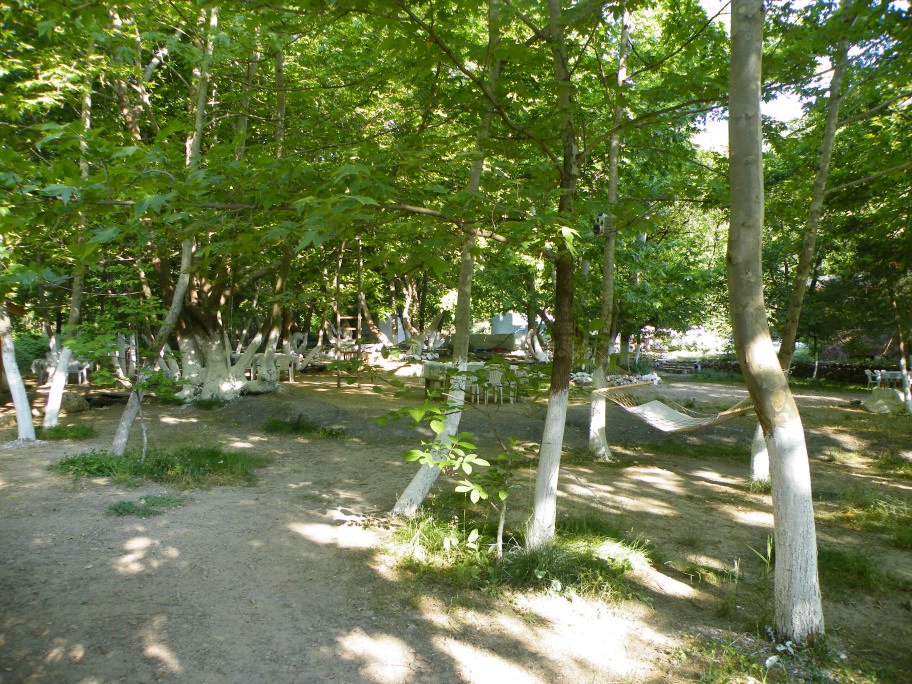 mahmut usta albÃƒÂƒÃ‚ÂƒÃƒÂ‚Ã‚Â¼m karagÃƒÂƒÃ‚ÂƒÃƒÂ‚Ã‚Â¶l02- 03-07-2011 020.jpg