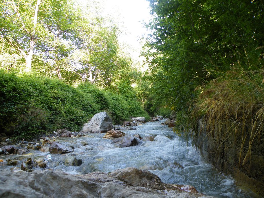 mahmut usta albÃƒÂƒÃ‚ÂƒÃƒÂ‚Ã‚Â¼m karagÃƒÂƒÃ‚ÂƒÃƒÂ‚Ã‚Â¶l02- 03-07-2011 021.jpg