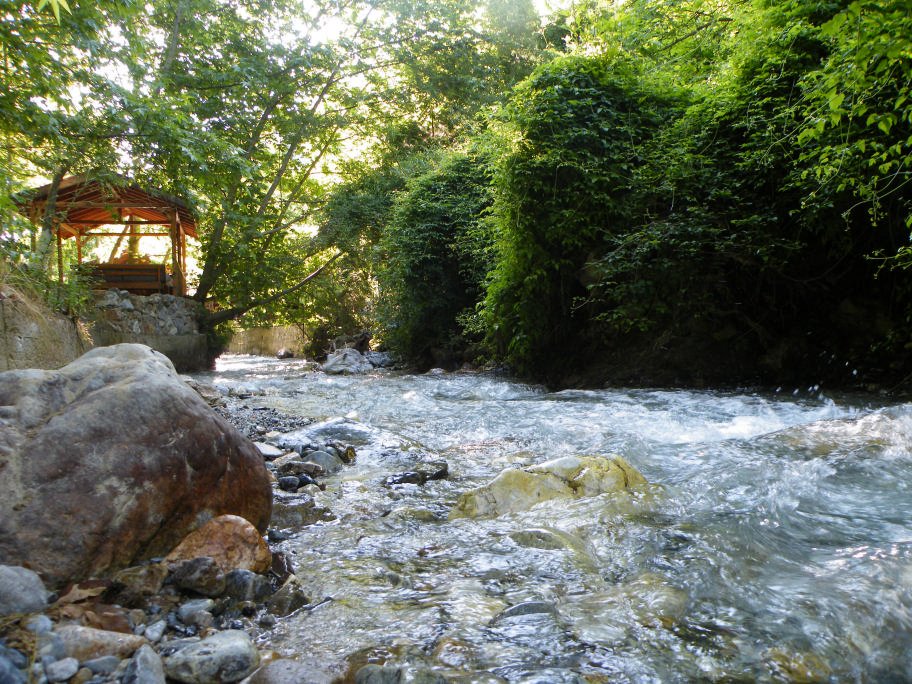 mahmut usta albÃƒÂƒÃ‚ÂƒÃƒÂ‚Ã‚Â¼m karagÃƒÂƒÃ‚ÂƒÃƒÂ‚Ã‚Â¶l02- 03-07-2011 022.jpg