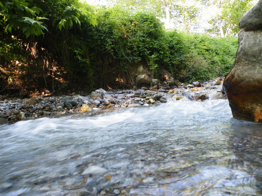mahmut usta albÃƒÂƒÃ‚ÂƒÃƒÂ‚Ã‚Â¼m karagÃƒÂƒÃ‚ÂƒÃƒÂ‚Ã‚Â¶l02- 03-07-2011 023.jpg
