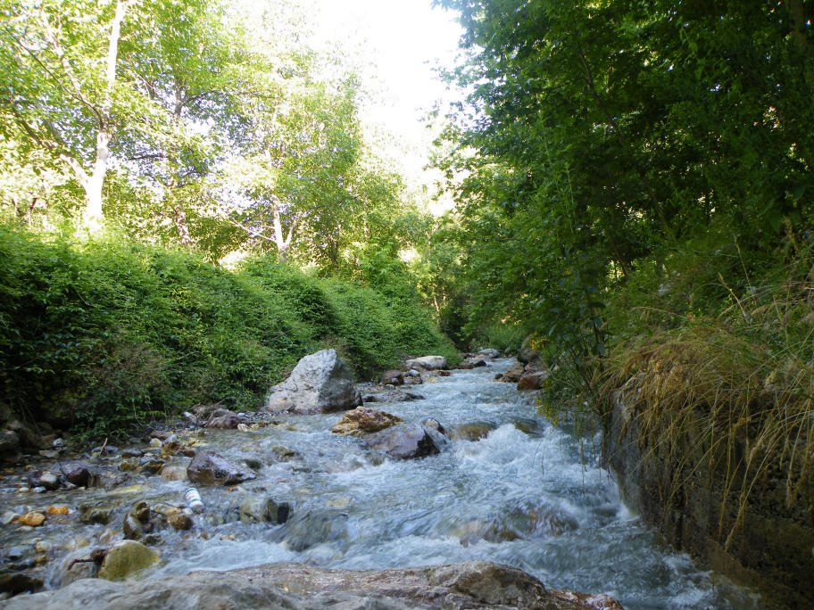 mahmut usta albÃƒÂƒÃ‚ÂƒÃƒÂ‚Ã‚Â¼m karagÃƒÂƒÃ‚ÂƒÃƒÂ‚Ã‚Â¶l02- 03-07-2011 024.jpg