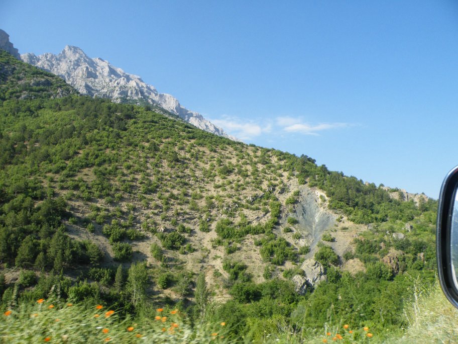 mahmut usta albÃƒÂƒÃ‚ÂƒÃƒÂ‚Ã‚Â¼m karagÃƒÂƒÃ‚ÂƒÃƒÂ‚Ã‚Â¶l02- 03-07-2011 031.jpg