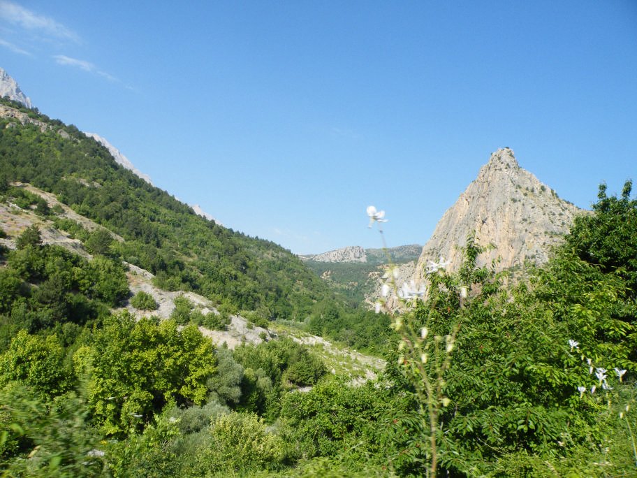 mahmut usta albÃƒÂƒÃ‚ÂƒÃƒÂ‚Ã‚Â¼m karagÃƒÂƒÃ‚ÂƒÃƒÂ‚Ã‚Â¶l02- 03-07-2011 034.jpg