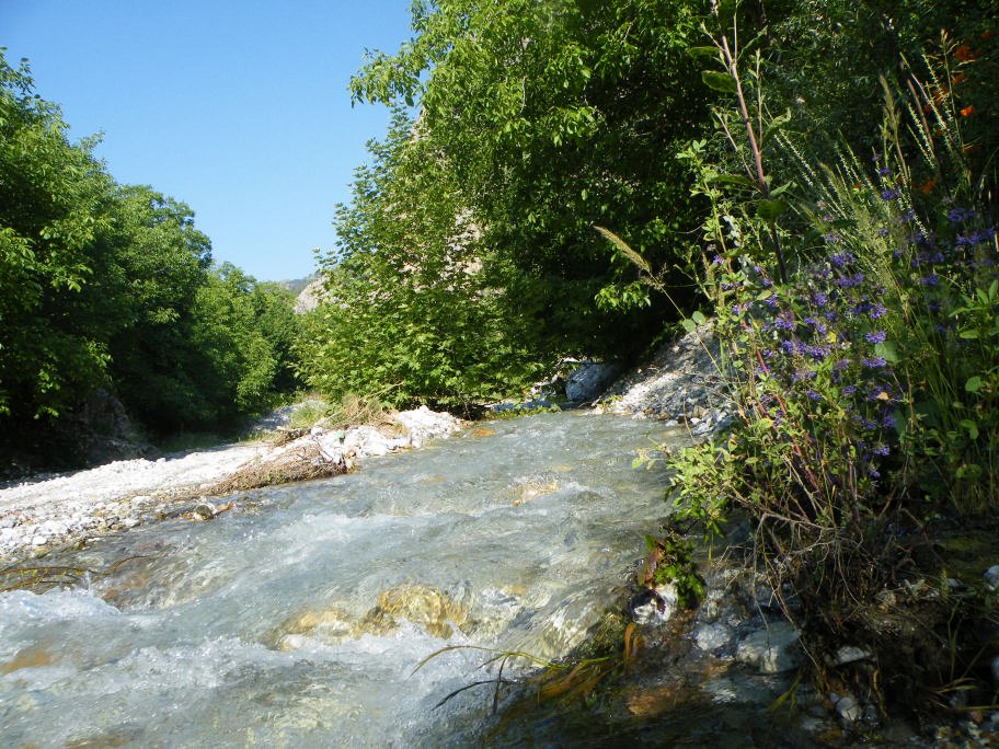 mahmut usta albÃƒÂƒÃ‚ÂƒÃƒÂ‚Ã‚Â¼m karagÃƒÂƒÃ‚ÂƒÃƒÂ‚Ã‚Â¶l02- 03-07-2011 035.jpg