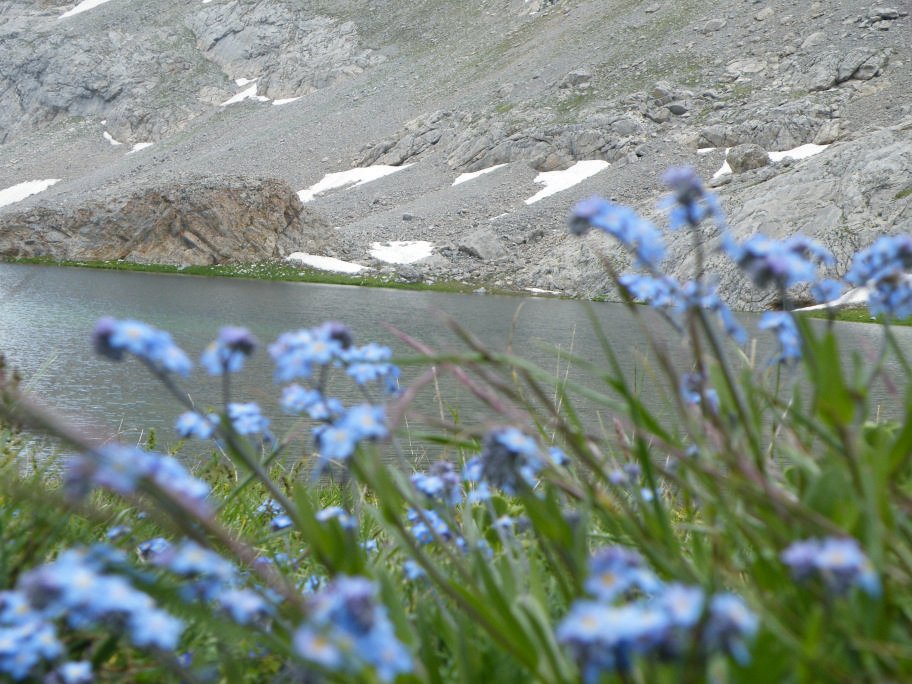 mahmut usta albÃƒÂƒÃ‚ÂƒÃƒÂ‚Ã‚Â¼m karagÃƒÂƒÃ‚ÂƒÃƒÂ‚Ã‚Â¶l02- 03-07-2011 077.jpg